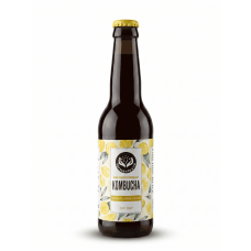 Kombucha (Zencefil, Nane ve Limon)