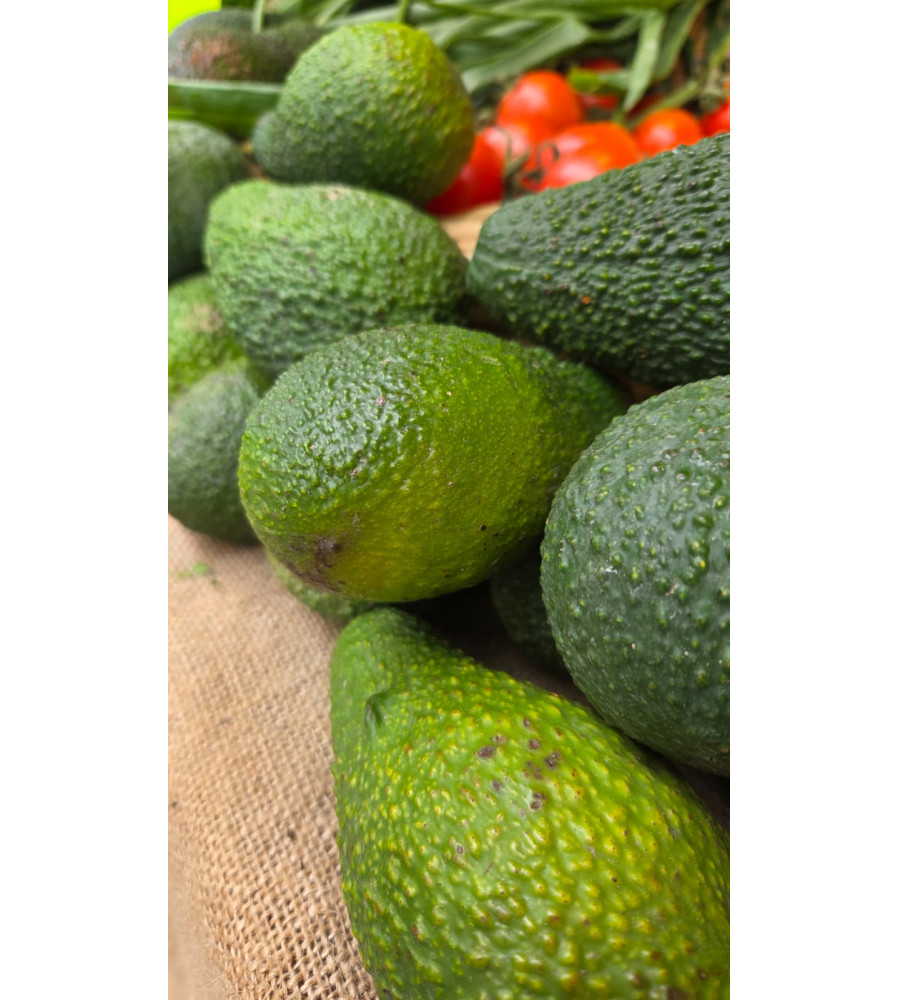 Avokado (Adet)