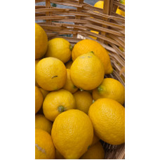 Limon Limon