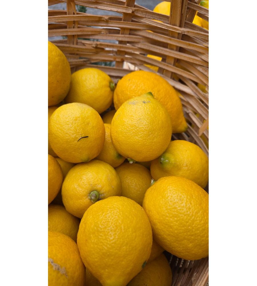 Limon