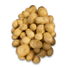Bebek Patates
