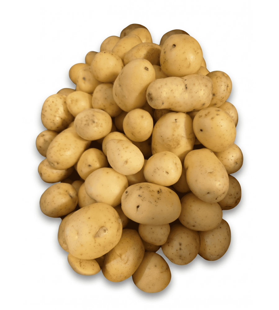 Bebek Patates